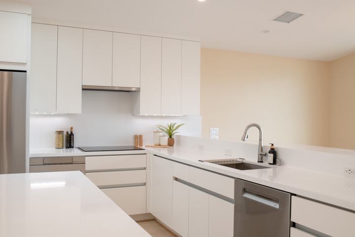 Scandinavian Kitchen Renovation San Diego