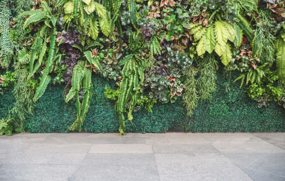 Green Roofs and Living Walls Design Ideas
